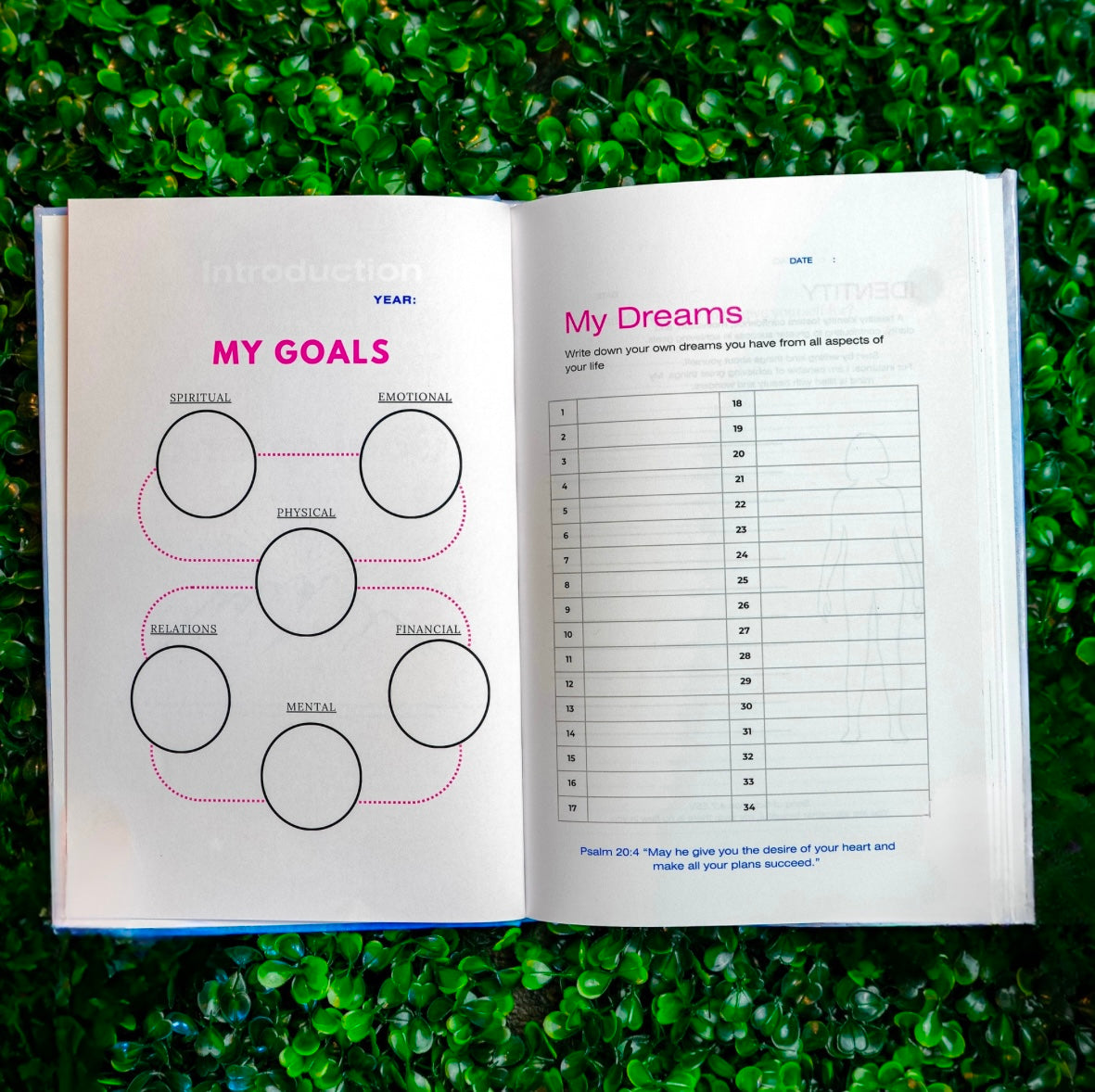 Goal Planner -Pink