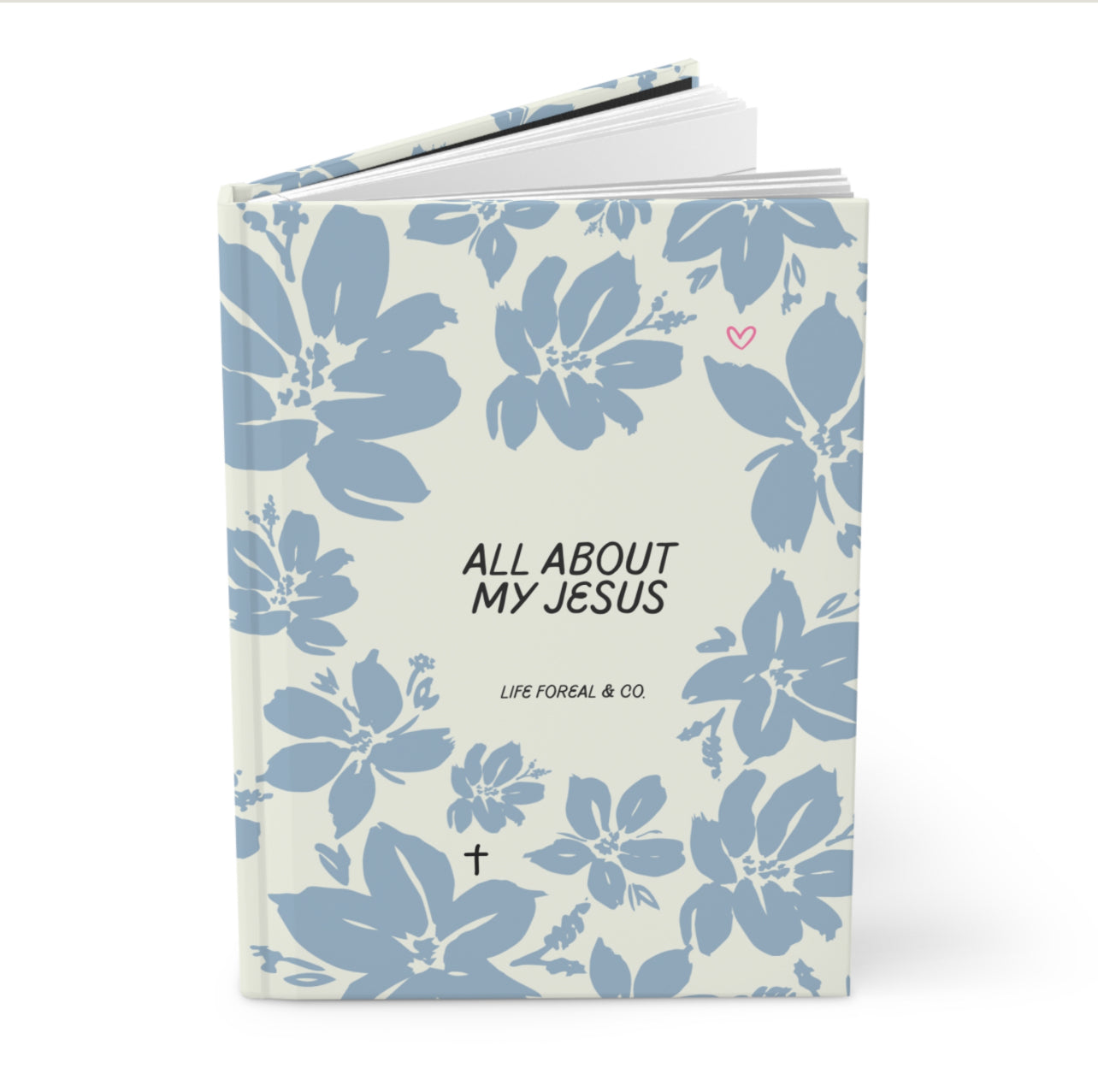 All about my Jesus Diary