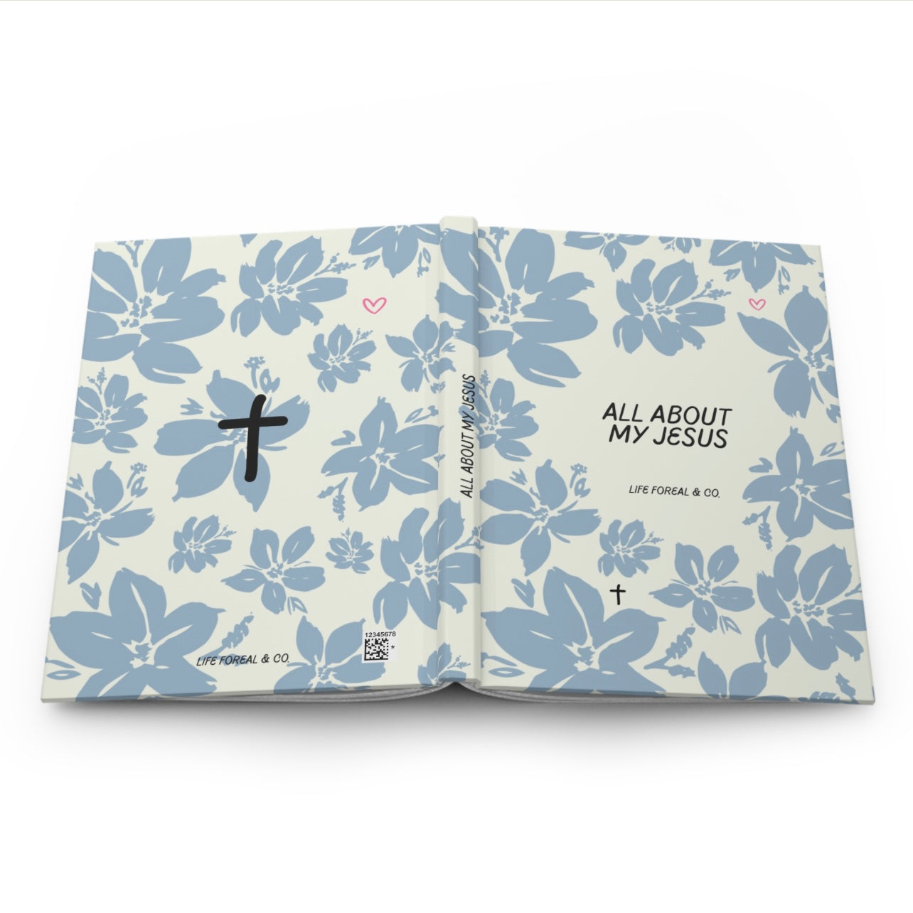 All about my Jesus Diary